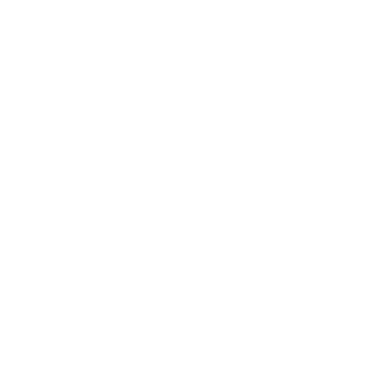 Can-Am : Brand Short Description Type Here.